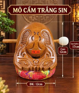 Mõ Cẩm Trắng 5in