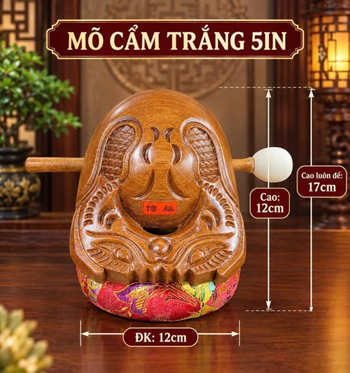Mõ Cẩm Trắng 5in
