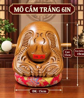Mõ Cẩm Trắng 6in
