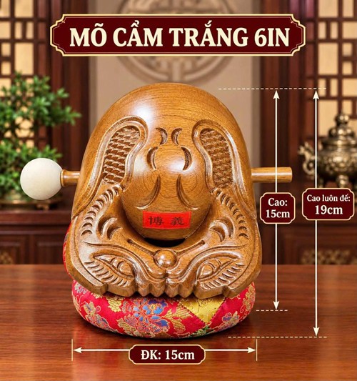 Mõ Cẩm Trắng 6in