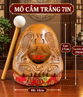 Mõ Cẩm Trắng 7in
