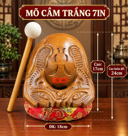 Mõ Cẩm Trắng 7in