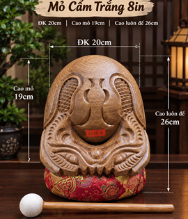 Mõ Cẩm Trắng 8in