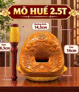 Mõ Huế 2.5T