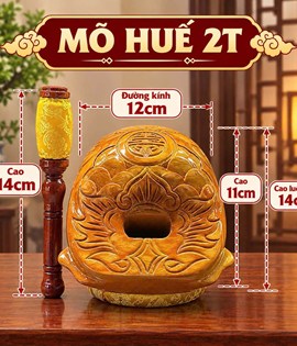 Mõ Huế 2T