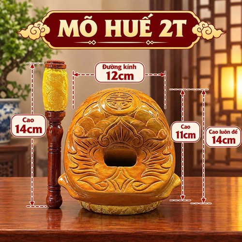 Mõ Huế 2T