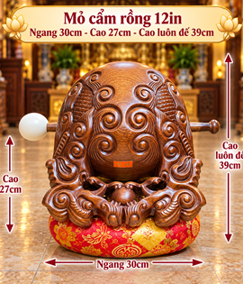 MỎ CẨM RỒNG 12IN