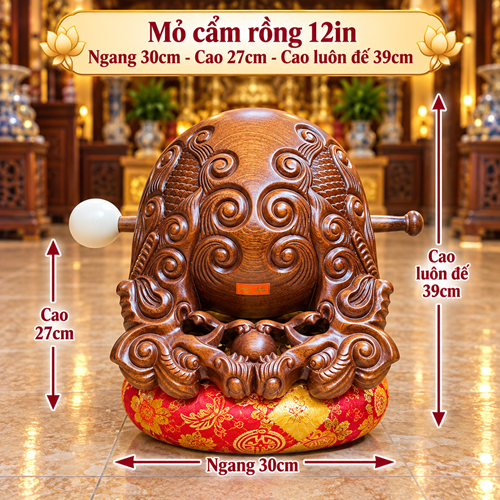 MỎ CẨM RỒNG 12IN