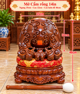 MỎ CẨM RỒNG 14IN
