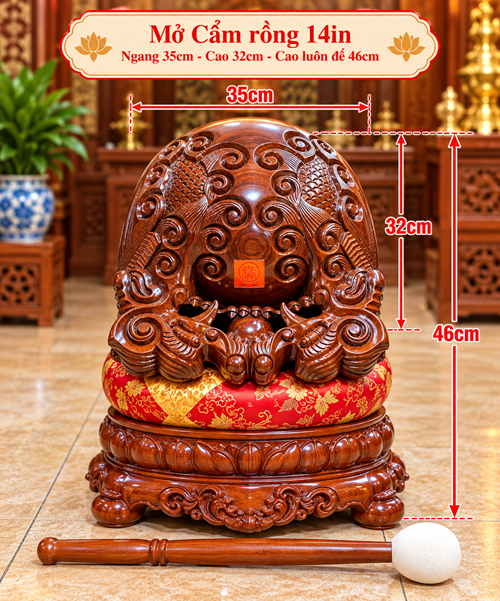 MỎ CẨM RỒNG 14IN