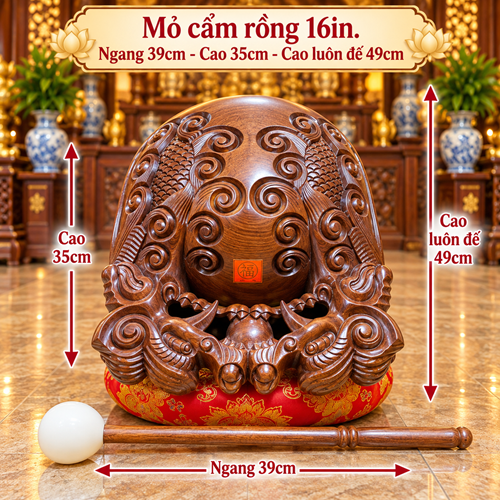 MỎ CẨM RỒNG 16IN