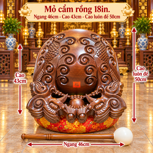 MỎ CẨM RỒNG 18IN