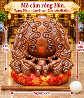 MỎ CẨM RỒNG 20IN