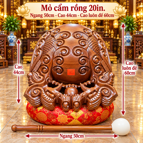 MỎ CẨM RỒNG 20IN