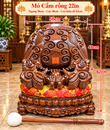 MỎ CẨM RỒNG 22IN