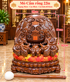 MỎ CẨM RỒNG 22IN