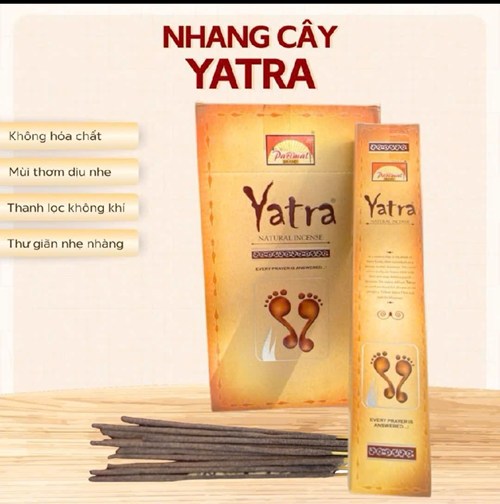 nhang cây yatra ấn độ