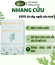 Nhang cứu Hương đất Việt