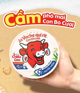 Phô mai 8 miếng