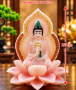 /UserUpload/Project/qa-2-mat-gia-da-pk-hong.png