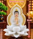 /UserUpload/Project/qa-2-mat-gia-da-pk-trang.png