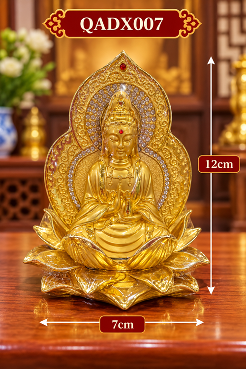 QA ĐỂ XE 007 PK