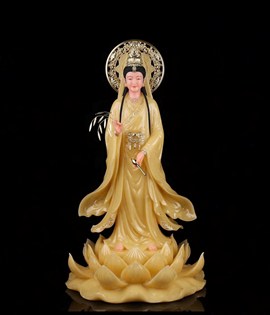 QA đứng đá  GY016 48HY