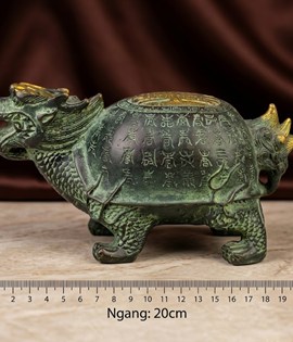rùa long quy lớn