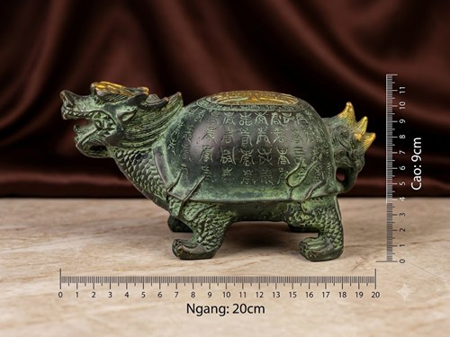 rùa long quy lớn