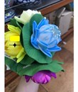 Sen Xếp Thả Nước Thái Lan