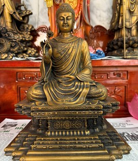 thích ca đế vuông 30cm