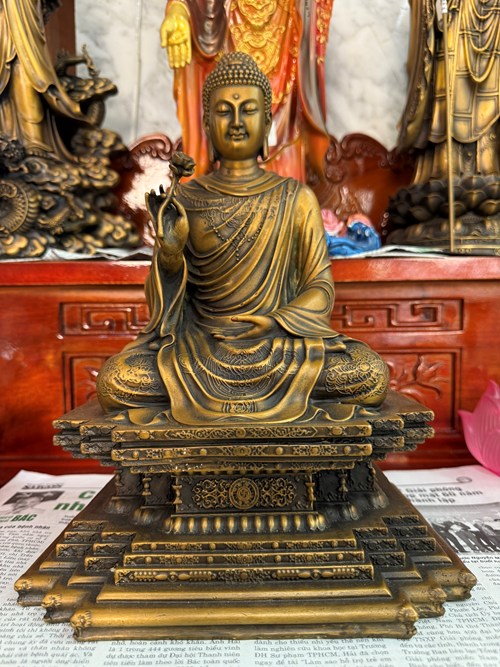 thích ca đế vuông 30cm