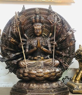 thiên thủ cao 50cm