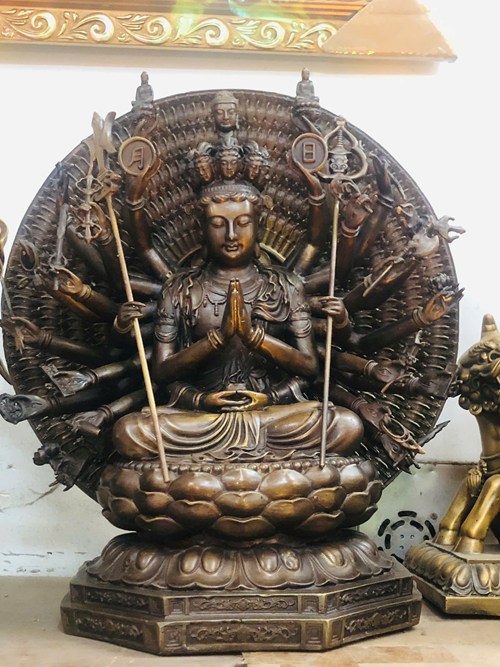 thiên thủ cao 50cm
