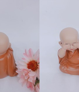 Tiểu an nhiên ms9