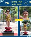 Tượng Đản Sanh 58cm