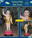 Tượng Đản Sanh 64cm