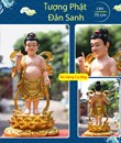 Tượng Đản Sanh sen vàng 70cm