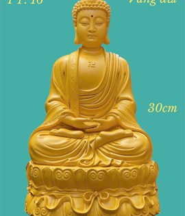 Tượng PT 16