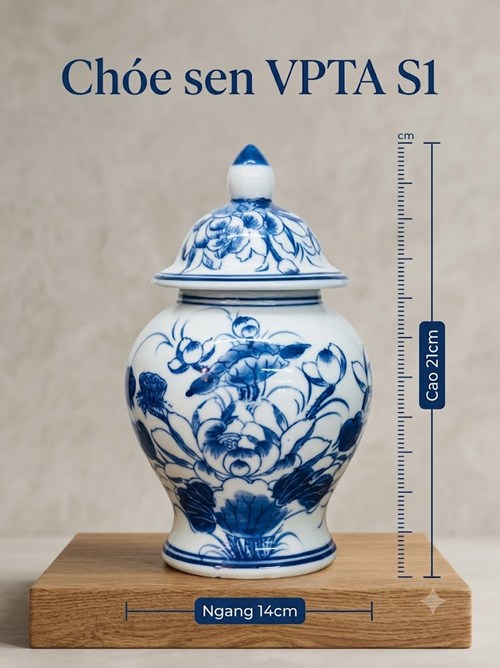 Chóe Sen S1 VPTA