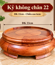 Kỷ không chân 22