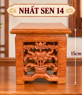 Nhất Sen 14VD