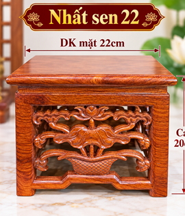 Nhất sen 22VD